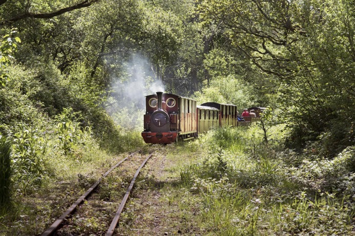 A steam railway train going through woodland