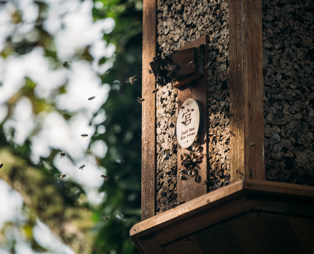 A wooden bee hive among trees with bees flying around it