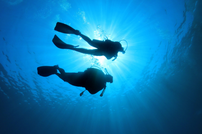 Two people scuba diving in the sea