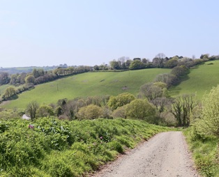 A woodland path along a valley leading down to lakes among greenery and woodland
