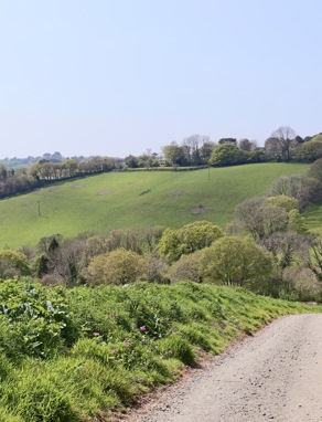 A woodland path along a valley leading down to lakes among greenery and woodland