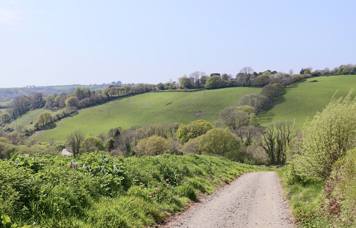 A woodland path along a valley leading down to lakes among greenery and woodland