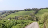 A woodland path along a valley leading down to lakes among greenery and woodland