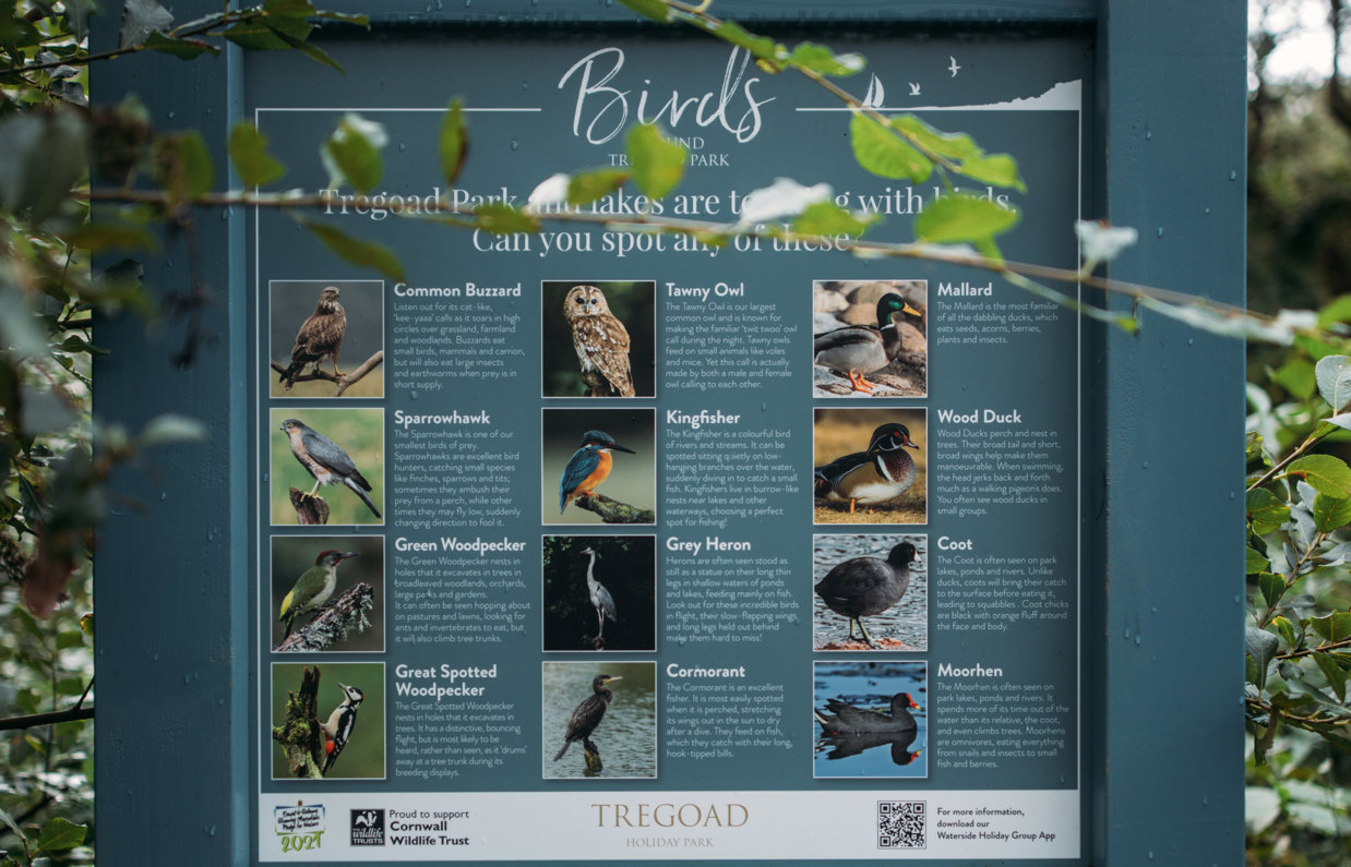 A sign showing images, names and descriptions of various birds