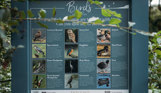 A sign showing images, names and descriptions of various birds