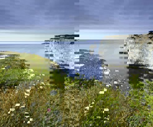 White cliffs along the coast with greenery and views of the sea