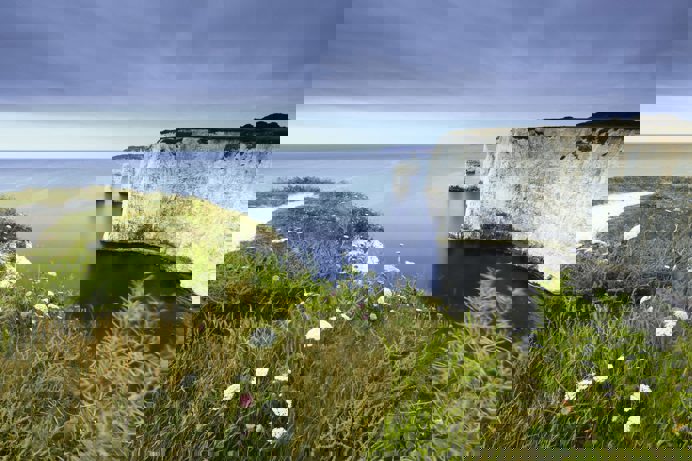 White cliffs along the coast with greenery and views of the sea