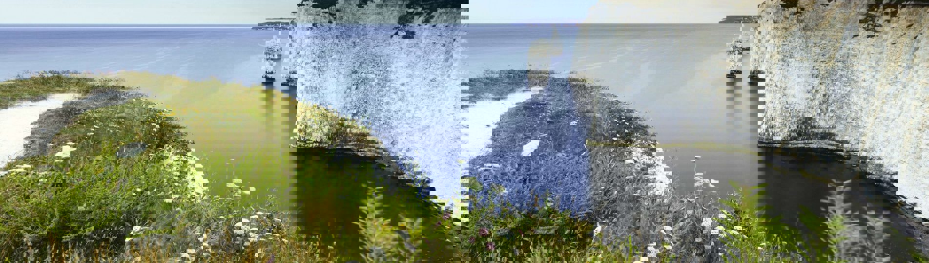 White cliffs along the coast with greenery and views of the sea