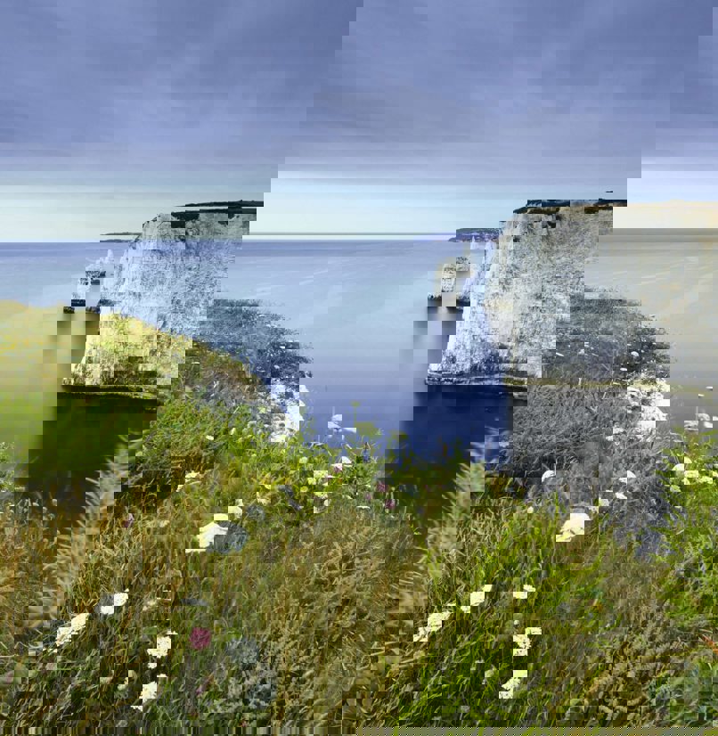 White cliffs along the coast with greenery and views of the sea