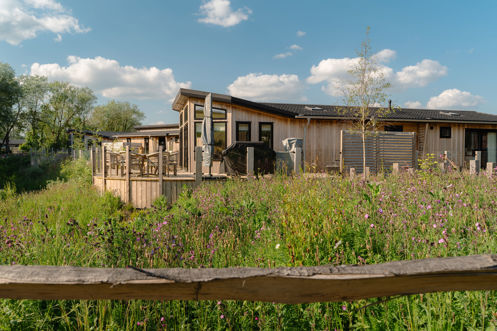 Stables Lodge and wildflowers