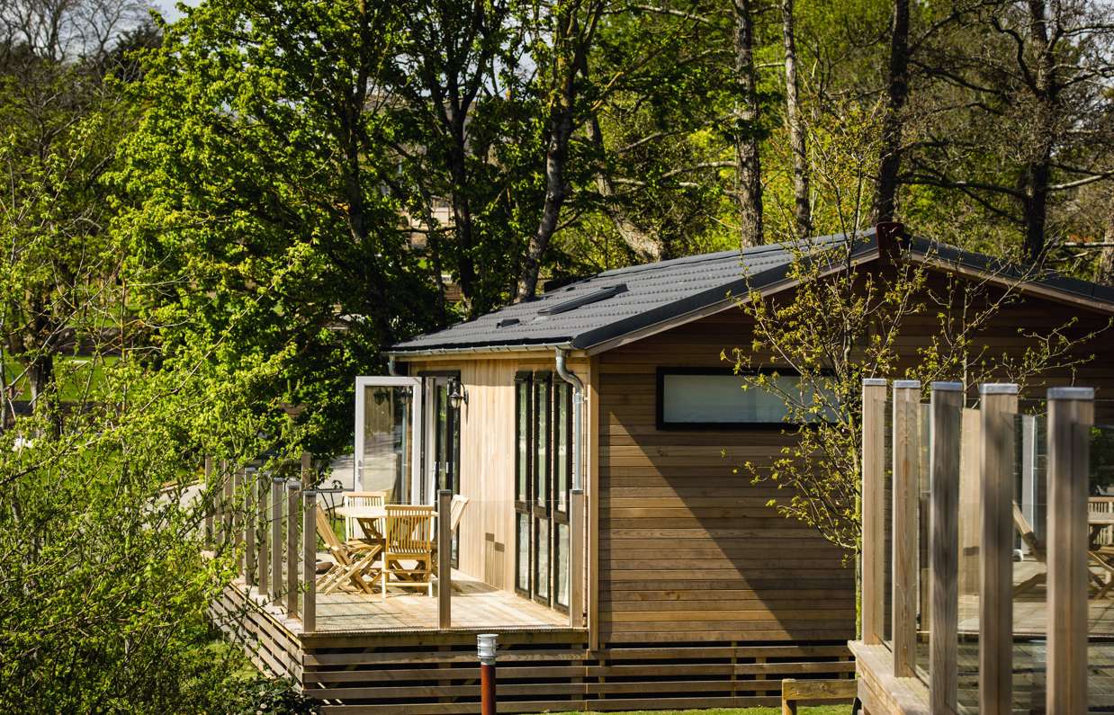 A holiday lodge with decking, surrounded by woodland