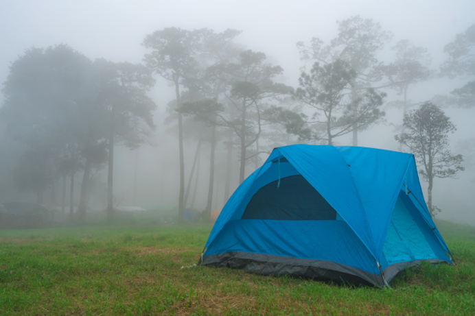 A camping tent in a field with surrounding trees in bad weather conditions