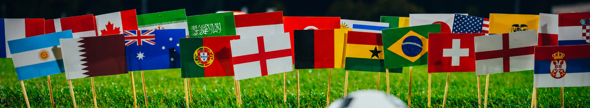 A range of world flags in grass with a football