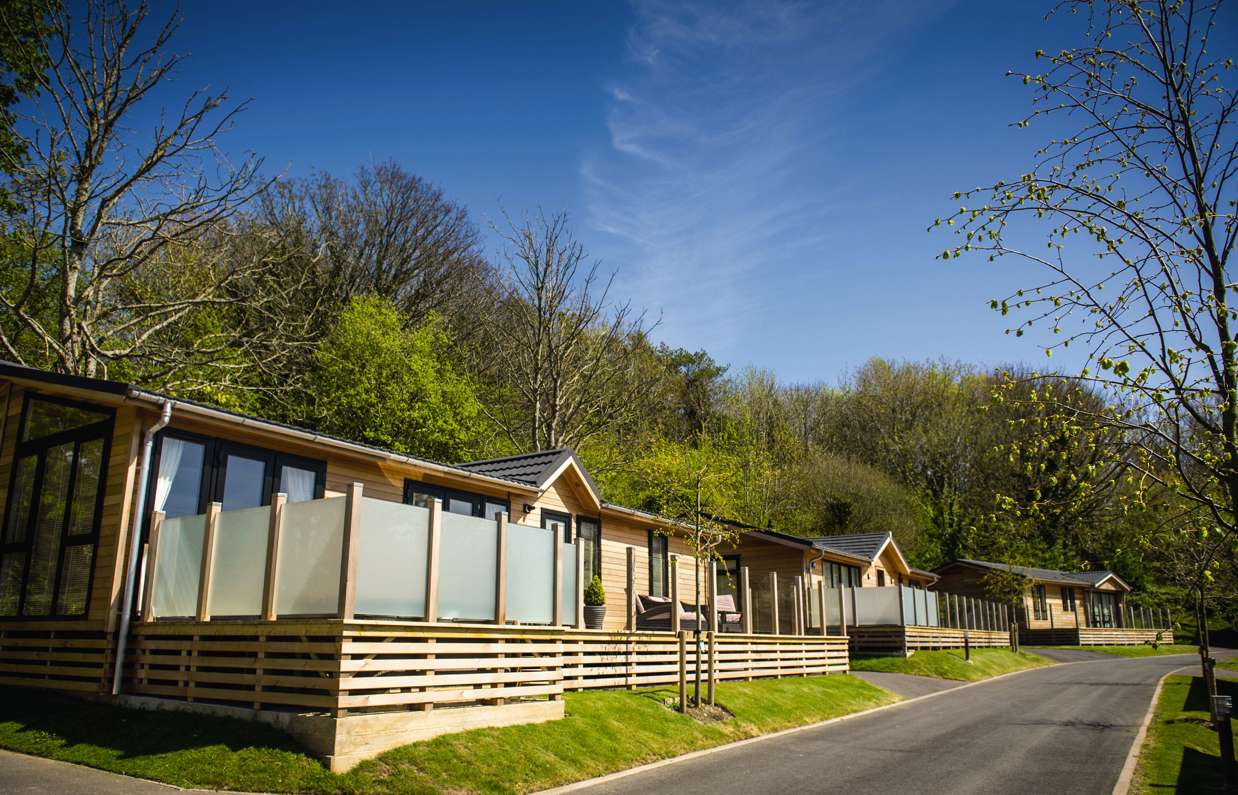 A row of holiday lodges along a road on a lodge park surrounded by trees on a sunny, blue sky day