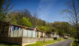 A row of holiday lodges along a road on a lodge park surrounded by trees on a sunny, blue sky day