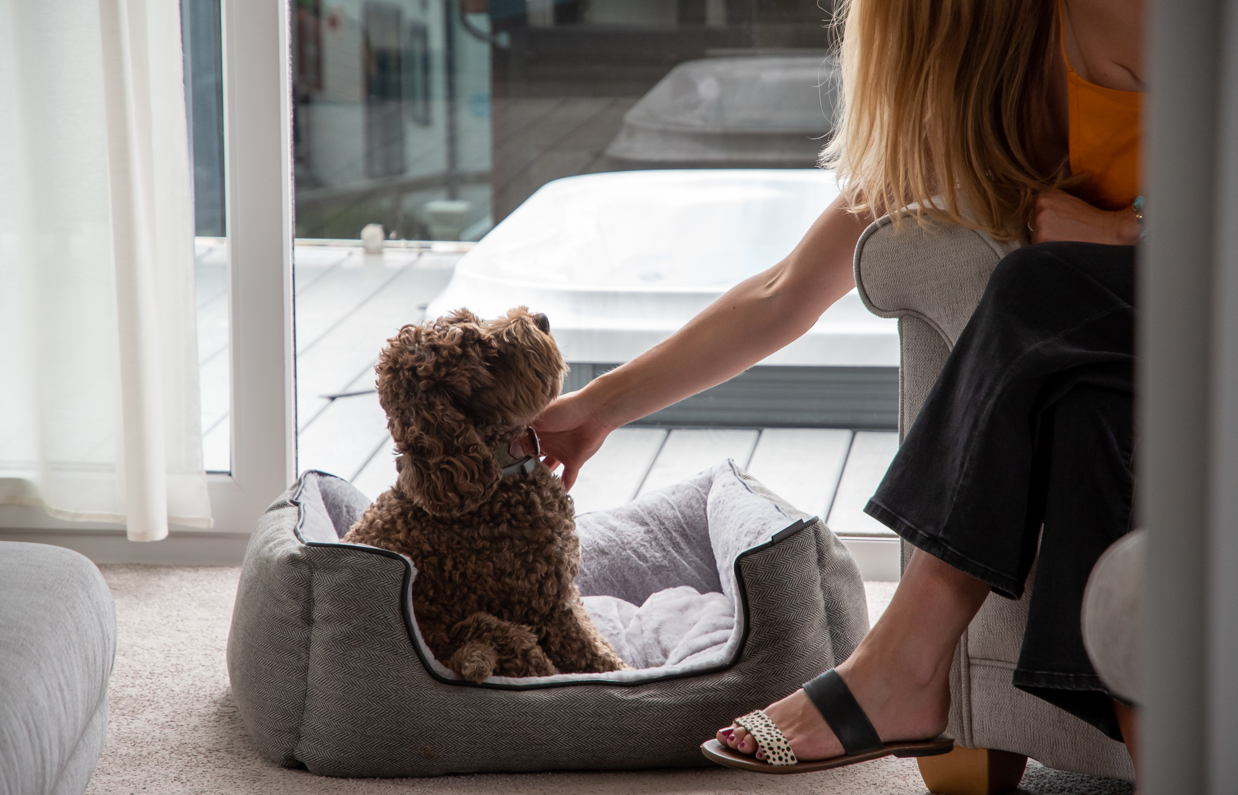 A small brown cockapoo sat in a dog bed in a lodge at Tregoad Holiday Park beside a woman with blonde hair sat in an armchair