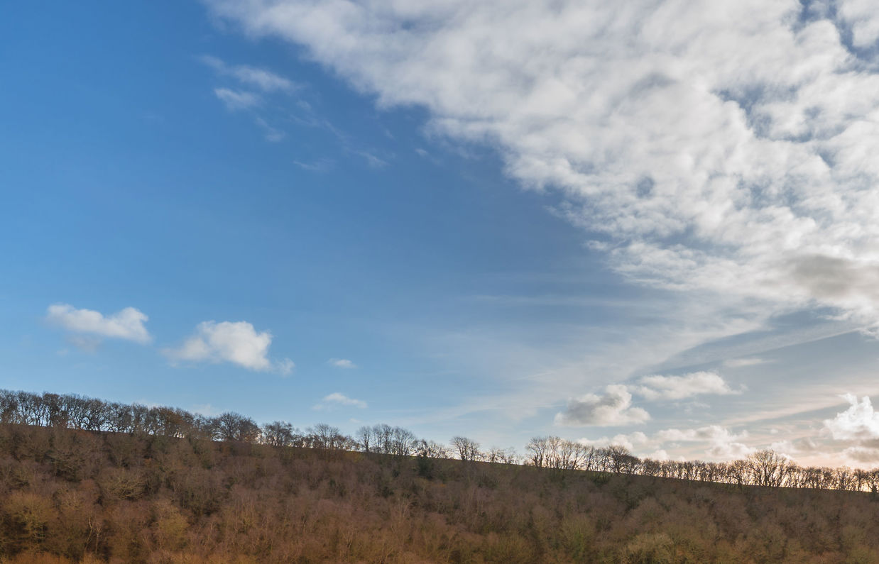 Wooded hill view from park