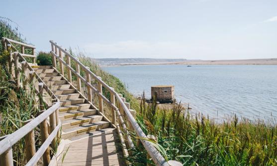 Coast Path along the Fleet Lagoon with Views of Portland and Chesil Beach