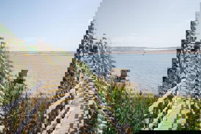 Coast Path along the Fleet Lagoon with Views of Portland and Chesil Beach