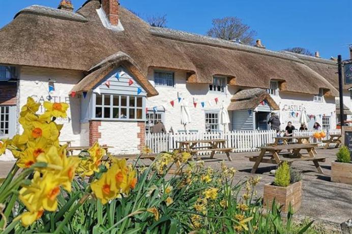 A thatched roof cottage pub with outdoor seating, blue skies and daffodils