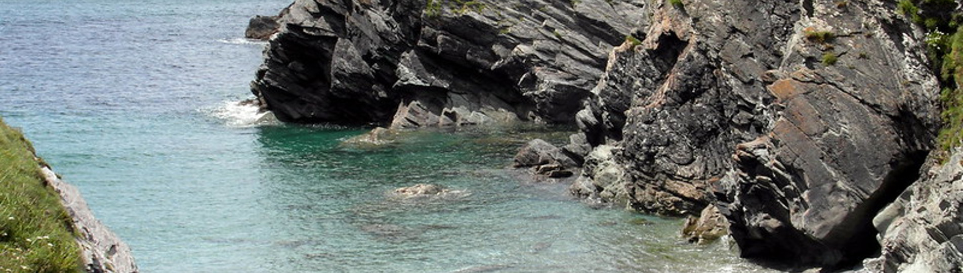 A small dog friendly cove with rocky headland