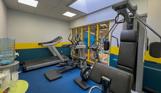An indoor gym with various cardio and weight lifting equipment 