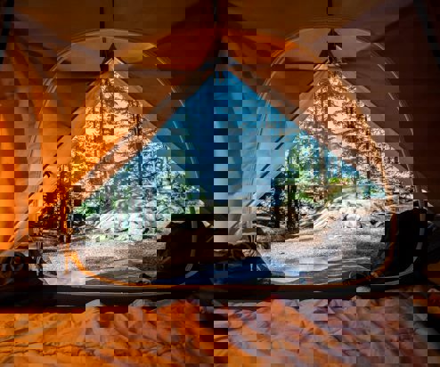 The inside of a tent with views of a forest