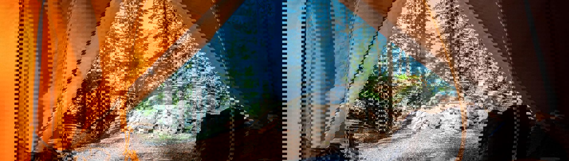 The inside of a tent with views of a forest