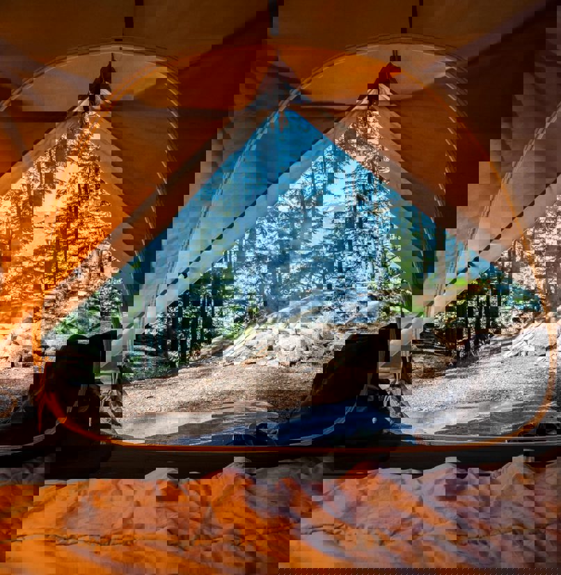 The inside of a tent with views of a forest