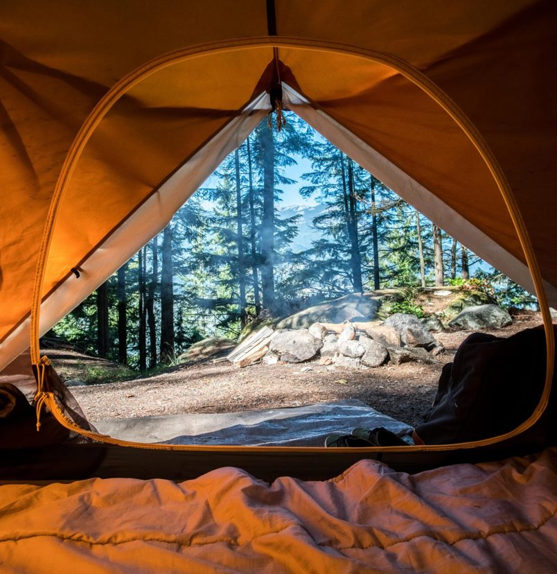The inside of a tent with views of a forest