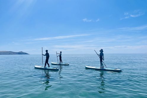 Three people standing on paddleboards in the sea on a sunny, blue sky day