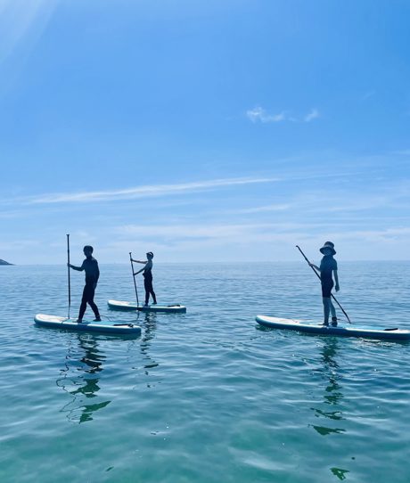 Three people standing on paddleboards in the sea on a sunny, blue sky day