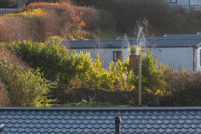 Holiday Homes nestled into countryside