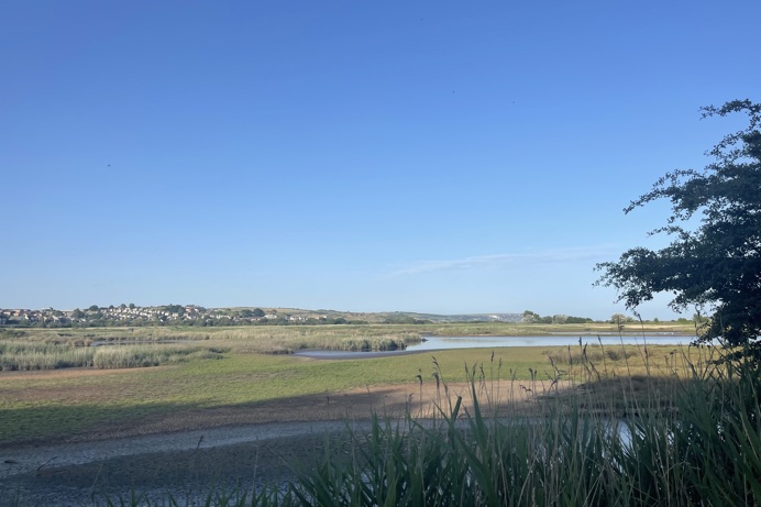 A nature reserve of wetland with cliffs, hills and houses in the background on a sunny, blue sky day