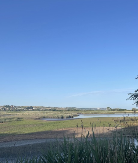 A nature reserve of wetland with cliffs, hills and houses in the background on a sunny, blue sky day