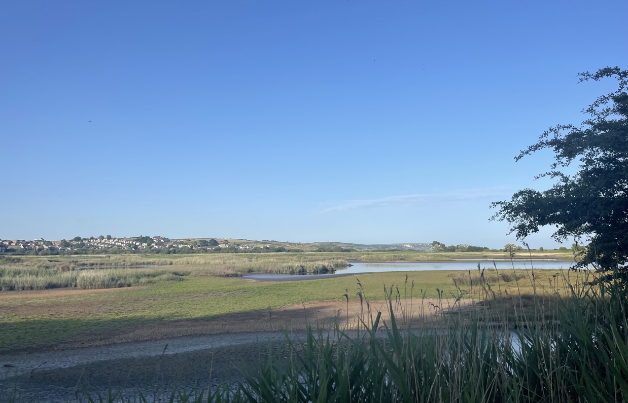 A nature reserve of wetland with cliffs, hills and houses in the background on a sunny, blue sky day