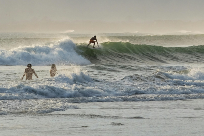 Three people in the sea with one surfing on a wave