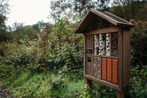 A wooden bug hotel with different sections among woodland
