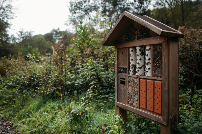 A wooden bug hotel with different sections among woodland