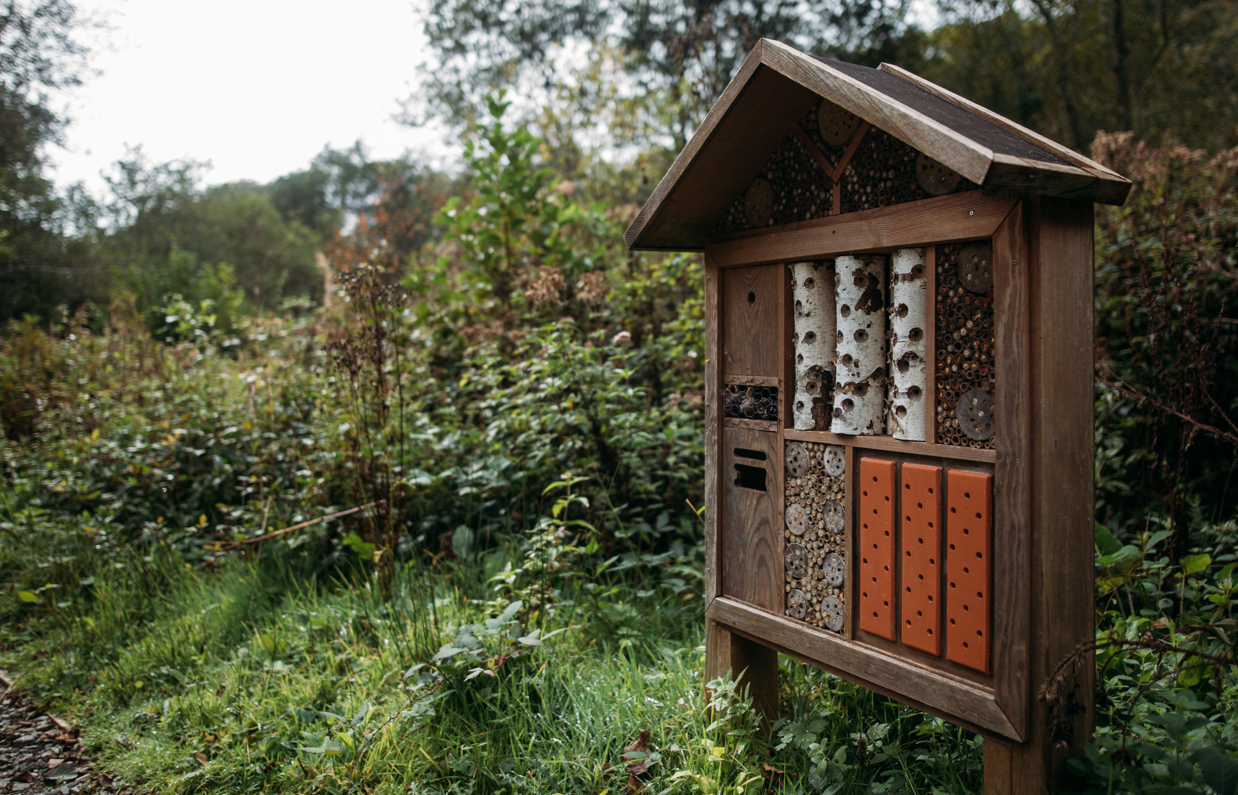A wooden bug hotel with different sections among woodland