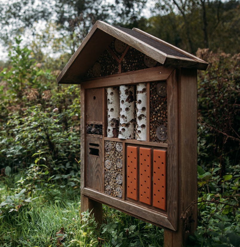 A wooden bug hotel with different sections among woodland