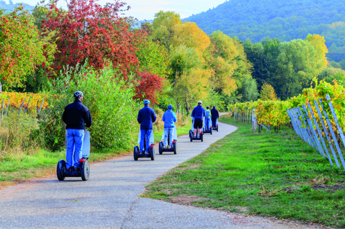 A group of people riding on segways through woodland