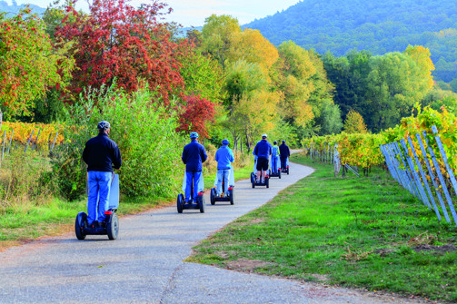 A group of people riding on segways through woodland