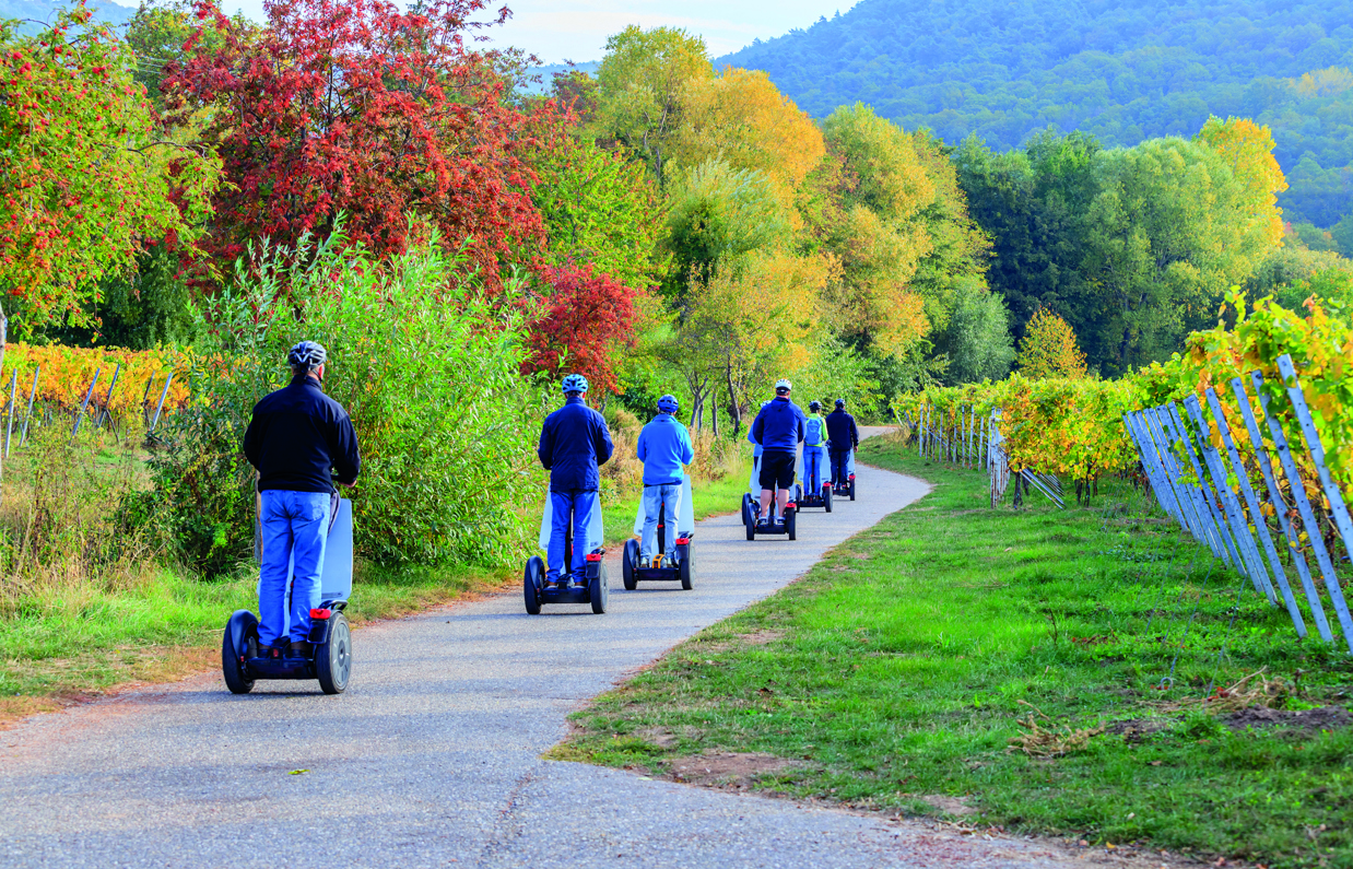 A group of people riding on segways through woodland