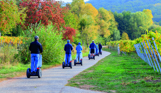 A group of people riding on segways through woodland