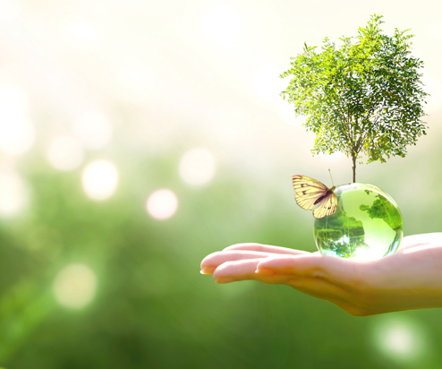 A hand holding a green ball with a tree coming out the top and a butterfly resting on it