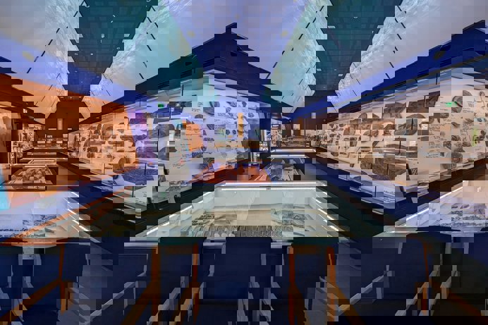 Inside an exhibit of various fossils and ancient discoveries