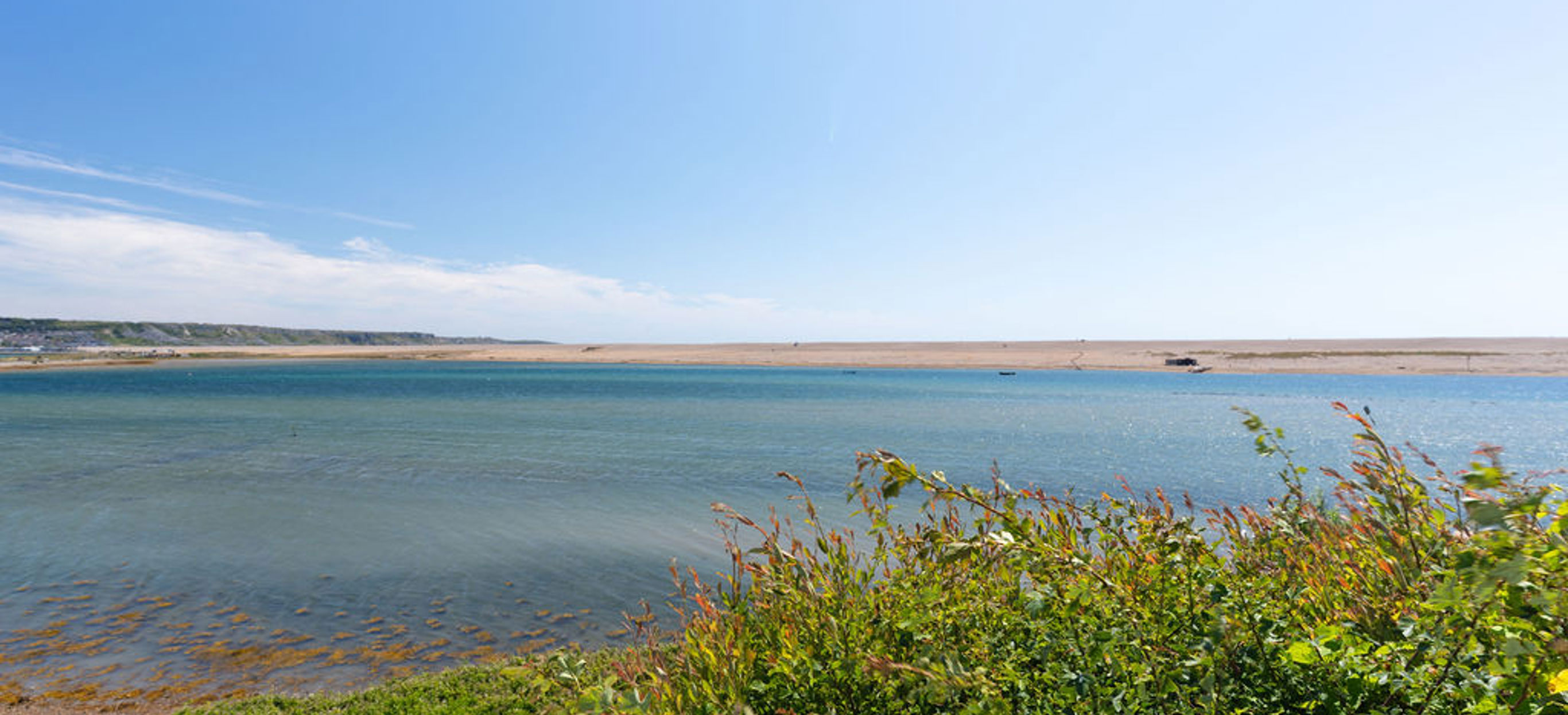 View of Chesil Beach beyond Lagoon