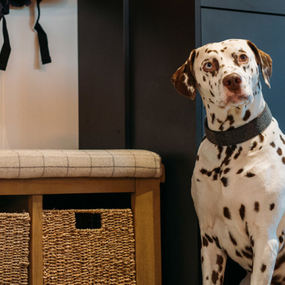 Autumn Escapes | Waterside Holiday Group | UK Holiday Parks