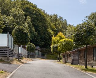 A road on a lodge park with trees and lodges on a sunny, blue sky day
